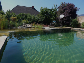 Pool umgebaut als Schwimmteich