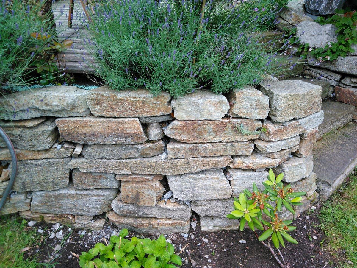 natursteinmauer garten