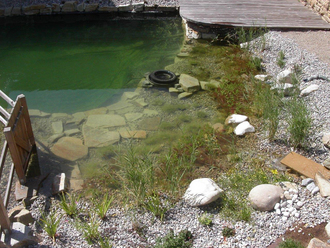 Schwimmteich mit Skimmer